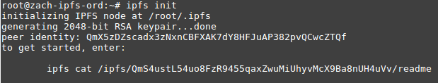 initializing ipfs node