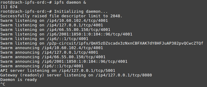 ipfs daemon