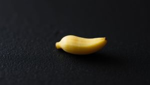 A small, yellow google nano banana isolated on a black background.