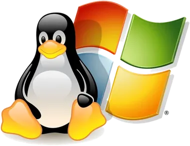 Linux and Windows Server management